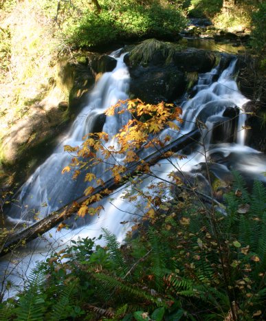 Beaver Creek in Autumn